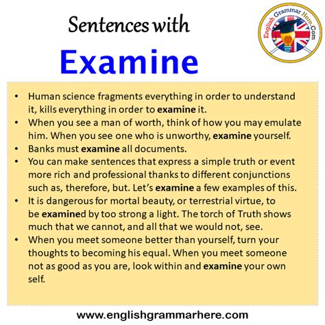 examine in English .